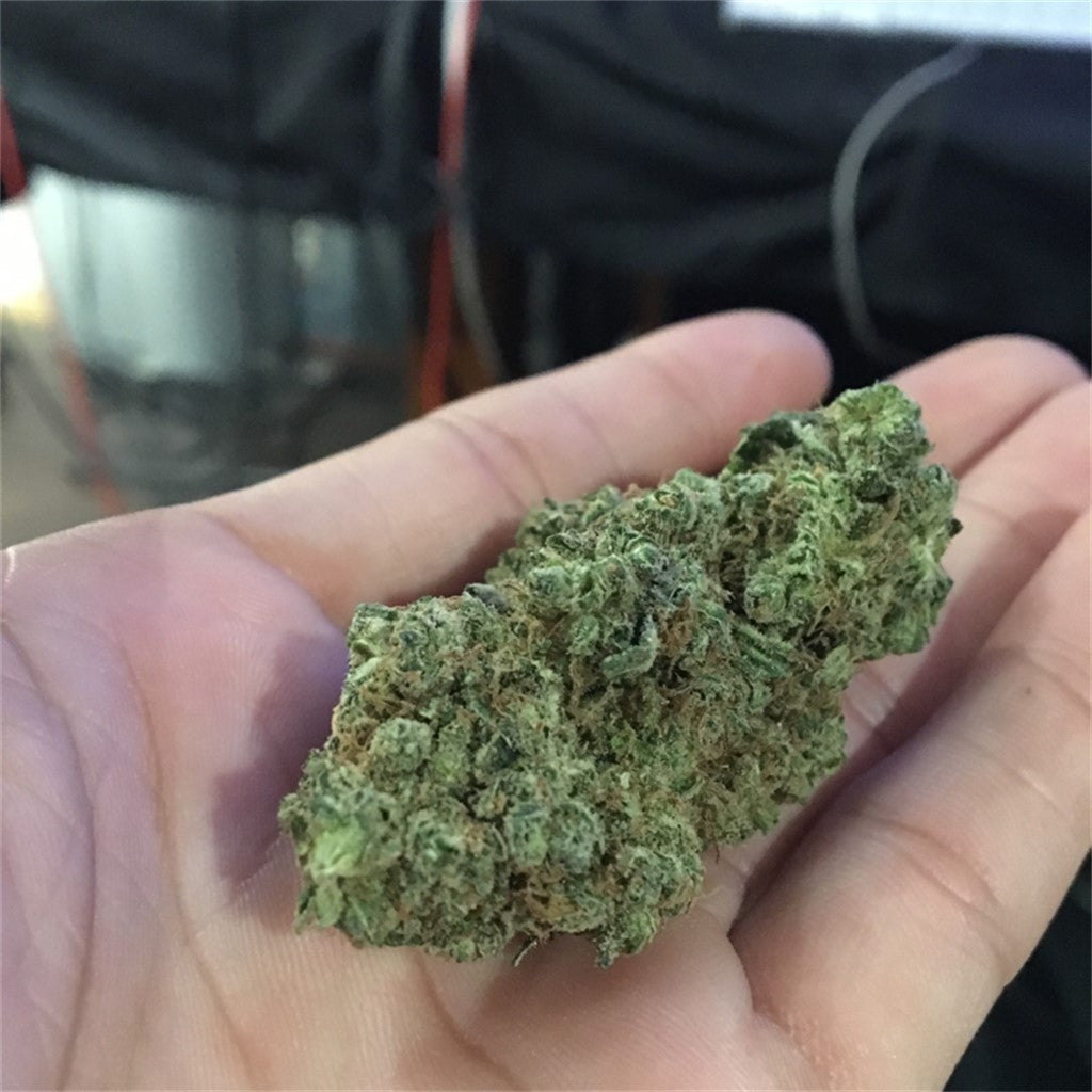 Pink Pez marijuana strain flower with grapefruit and berry flavor and creative / happy effects - Rare Harvest hybrid