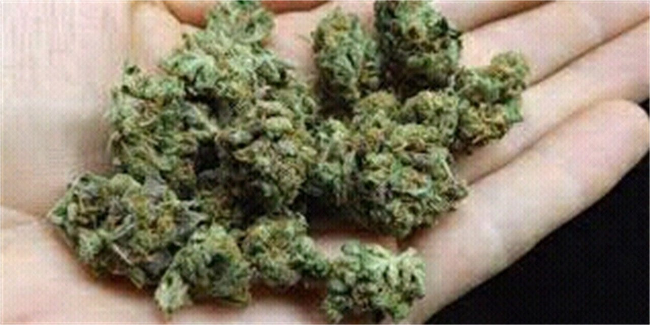 Pink Sunset marijuana strain flower with strawberry and berry flavor and relaxed / tingly effects - Rare Harvest indica