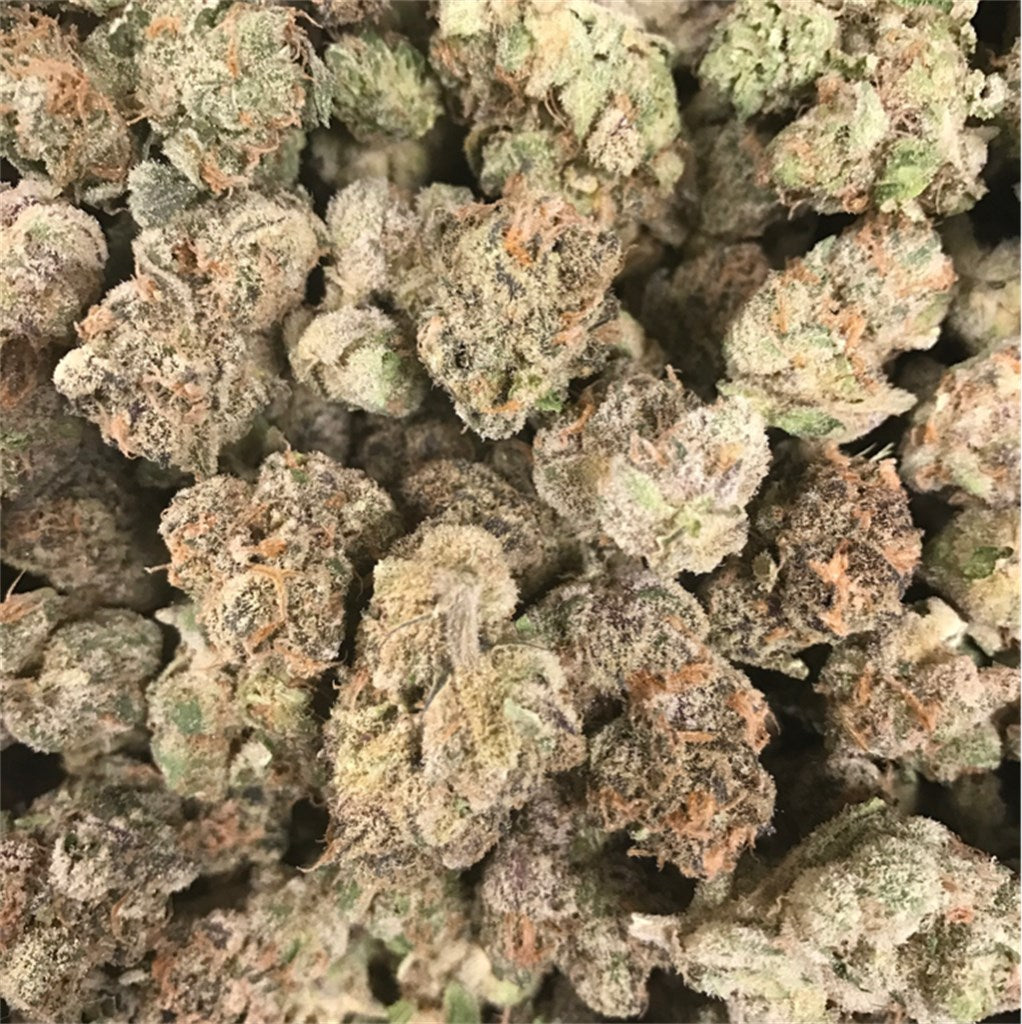 Platinum Cookies marijuana strain flower with sweet and flowery flavor and relaxed / euphoric effects - Rare Harvest hybrid