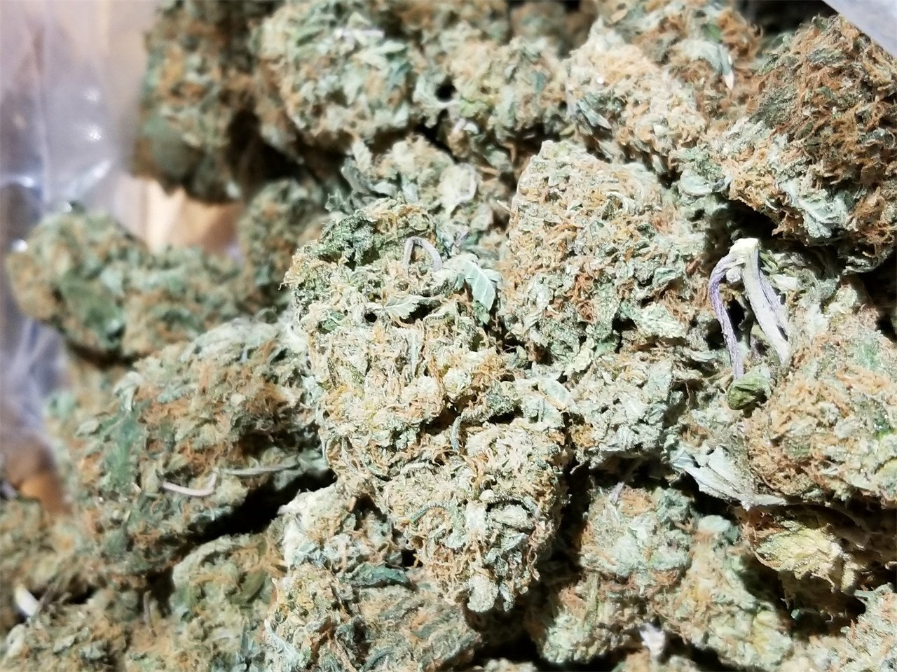 Platinum Huckleberry Cookies marijuana strain flower with plum and spicy/herbal flavor and euphoric / relaxed effects - Rare Harvest hybrid