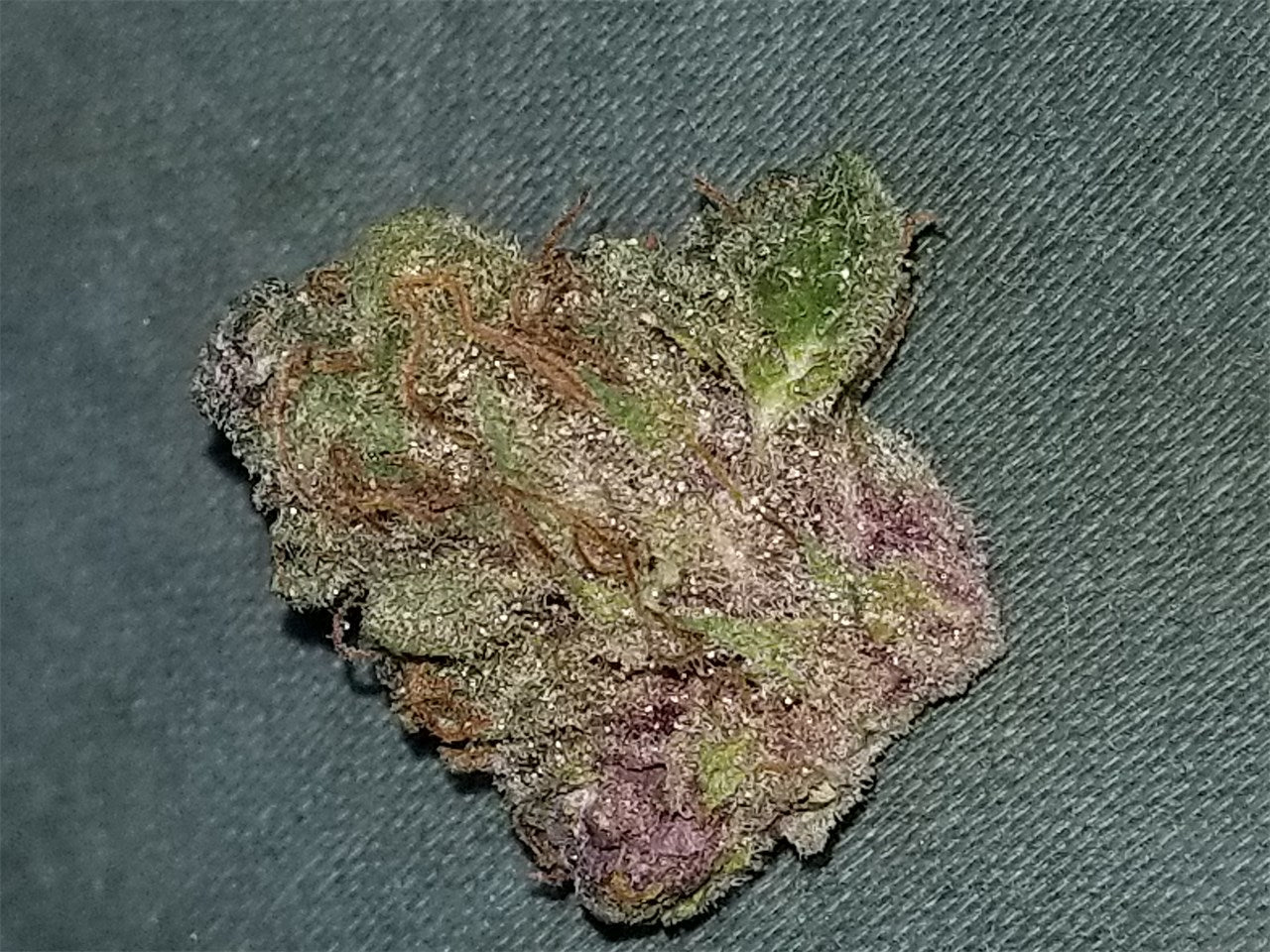 Plushberry marijuana strain flower with berry and violet flavor and relaxed / sleepy effects - Rare Harvest indica