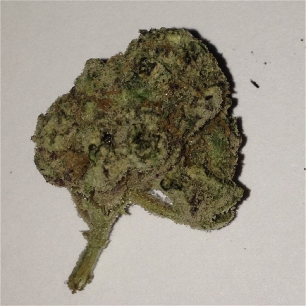Pokie marijuana strain flower with diesel and butter flavor and energetic / creative effects - Rare Harvest indica