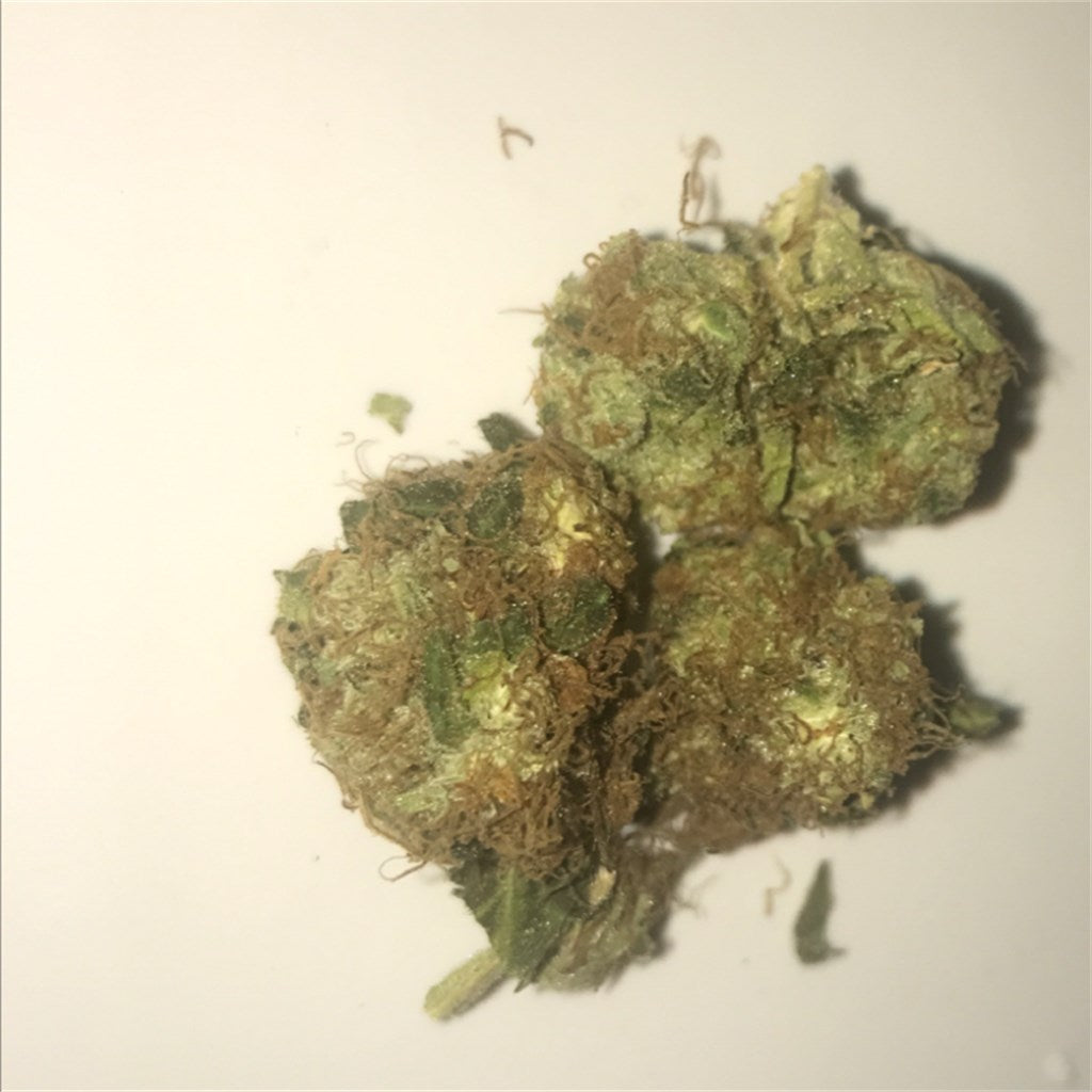 Pot of Gold marijuana strain flower with skunk and honey flavor and sleepy / hungry effects - Rare Harvest indica