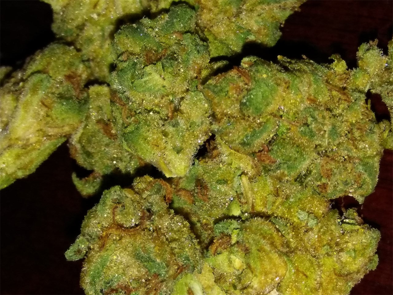 Pre-98 Bubba Kush marijuana strain flower with coffee and earthy flavor and sleepy / relaxed effects - Rare Harvest indica