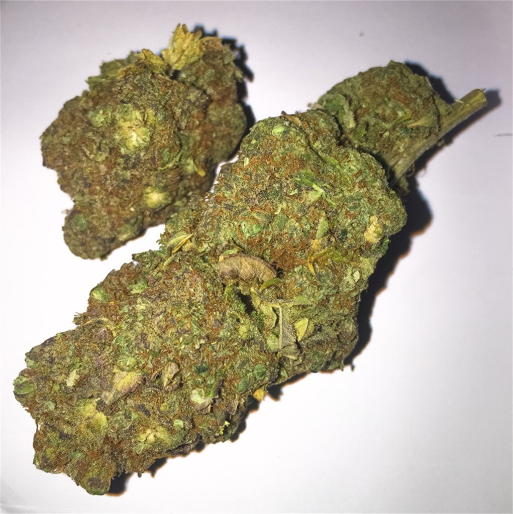 Primus marijuana strain flower with skunk and earthy flavor and relaxed / happy effects - Rare Harvest indica