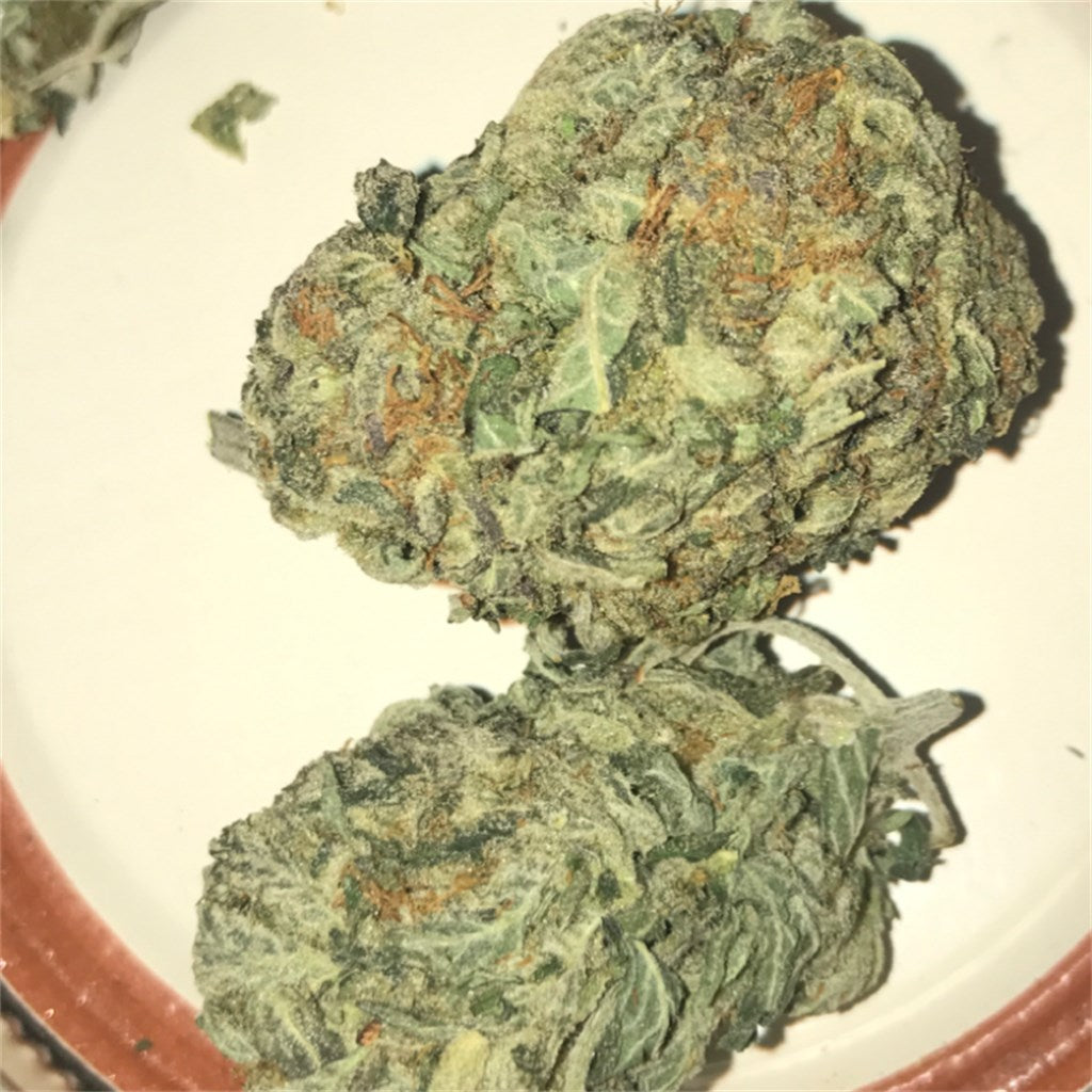 Puna Budder marijuana strain flower with butter and blueberry flavor and uplifted / talkative effects - Rare Harvest hybrid