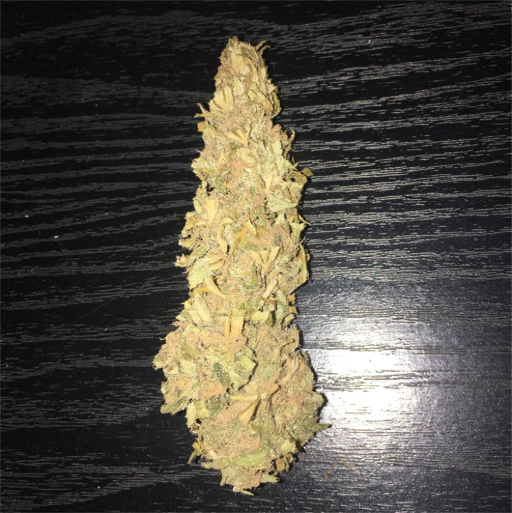 Punky Lion marijuana strain flower with earthy and woody flavor and relaxed / euphoric effects - Rare Harvest indica