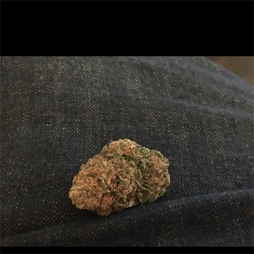 Pure Afghan marijuana strain flower with earthy and woody flavor and sleepy / relaxed effects - Rare Harvest indica