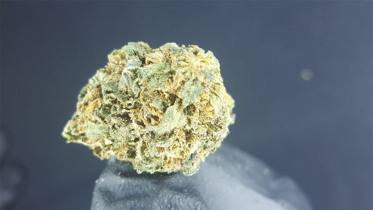 Pure Love marijuana strain flower with mango and strawberry flavor and relaxed / hungry effects - Rare Harvest indica