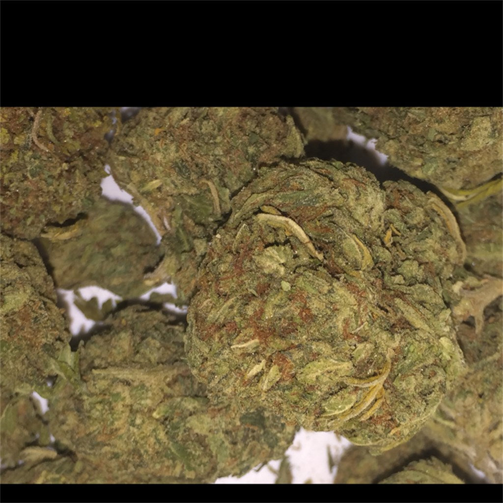 Pure OG marijuana strain flower with pine and flowery flavor and sleepy / relaxed effects - Rare Harvest indica