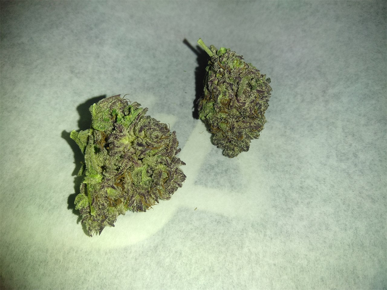 Purple Alien OG marijuana strain flower with lavender and earthy flavor and relaxed / sleepy effects - Rare Harvest hybrid