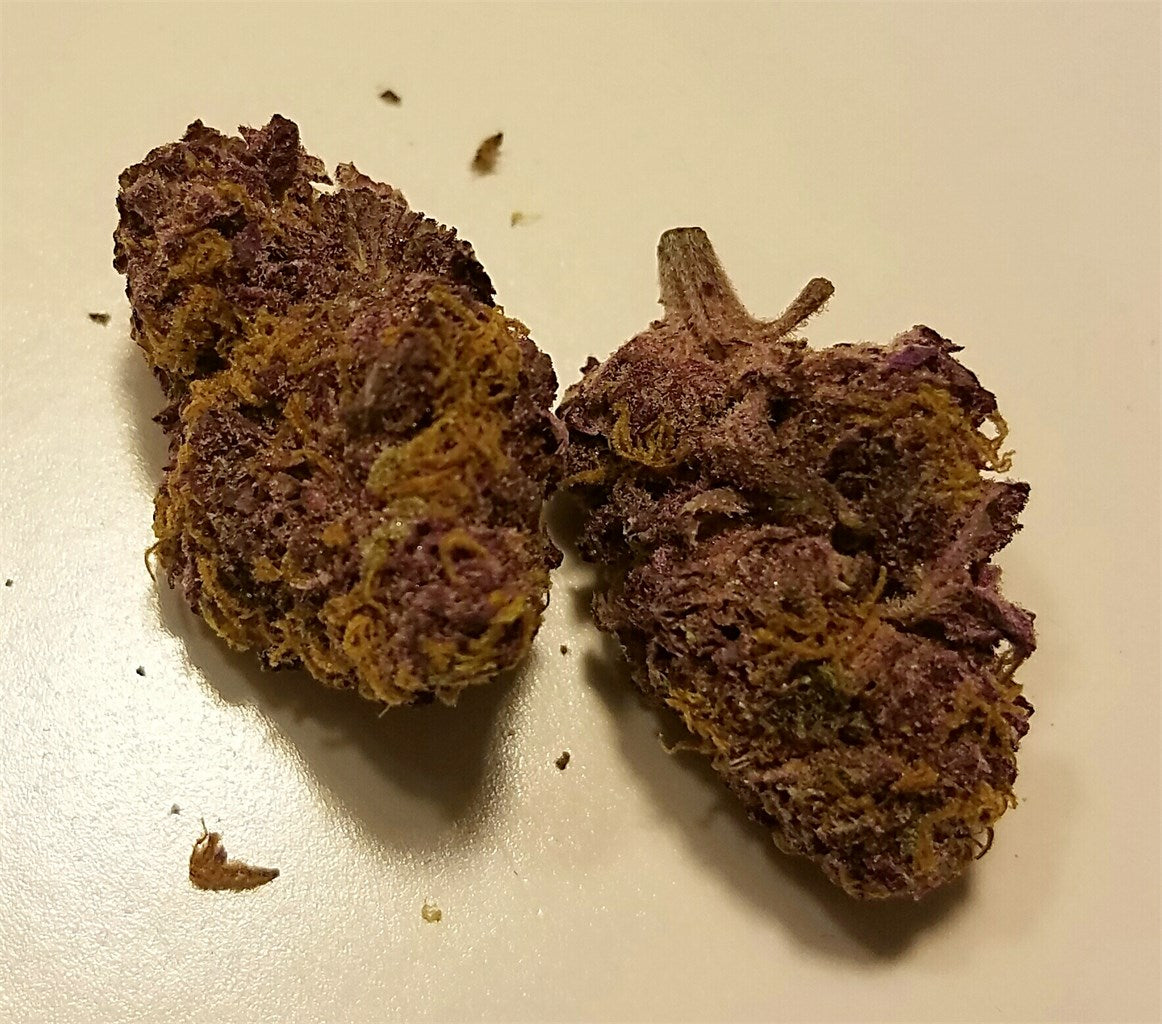 Purple Cream marijuana strain flower with lavender and pungent flavor and sleepy / tingly effects - Rare Harvest indica