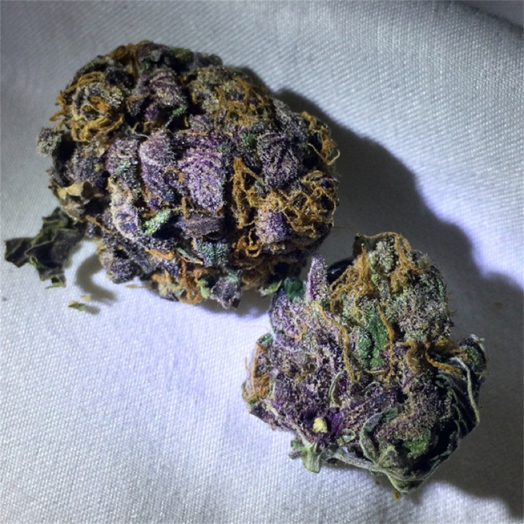 Purple Dragon marijuana strain flower with flowery and grape flavor and hungry / tingly effects - Rare Harvest indica