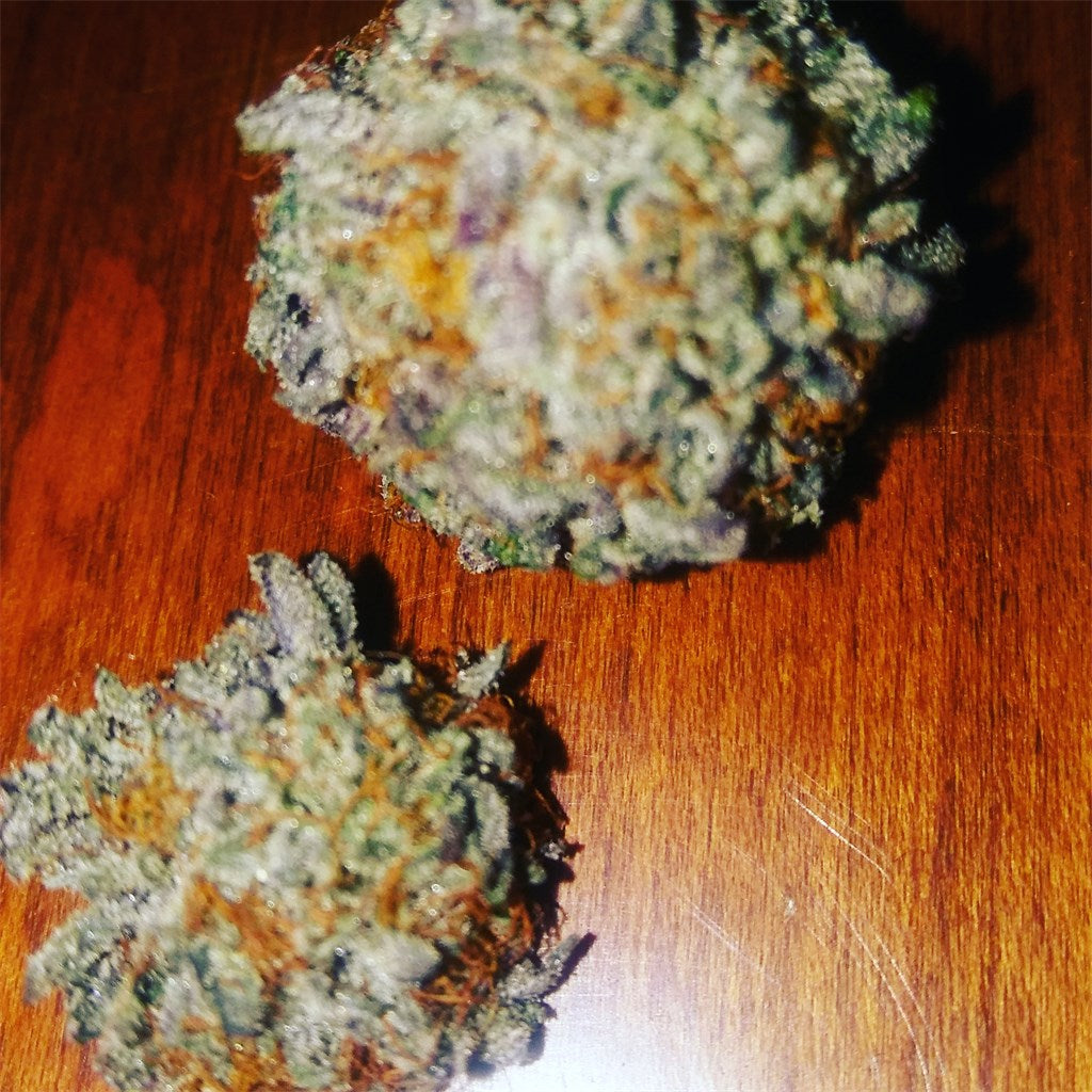 Purple Hashplant marijuana strain flower with grape and berry flavor and sleepy / tingly effects - Rare Harvest hybrid