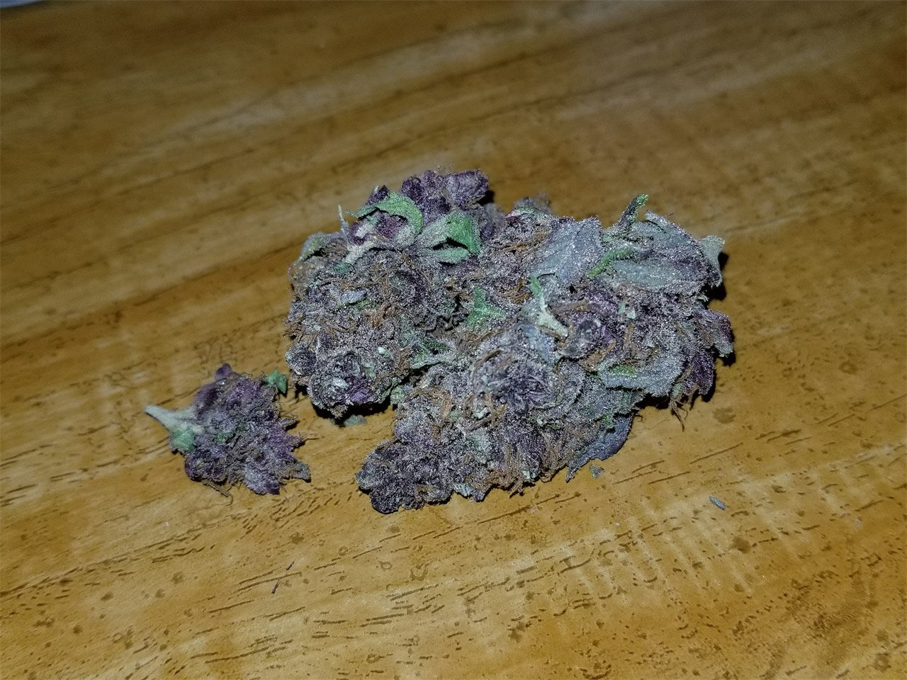 Purple Headband marijuana strain flower with berry and grape flavor and giggly / talkative effects - Rare Harvest hybrid
