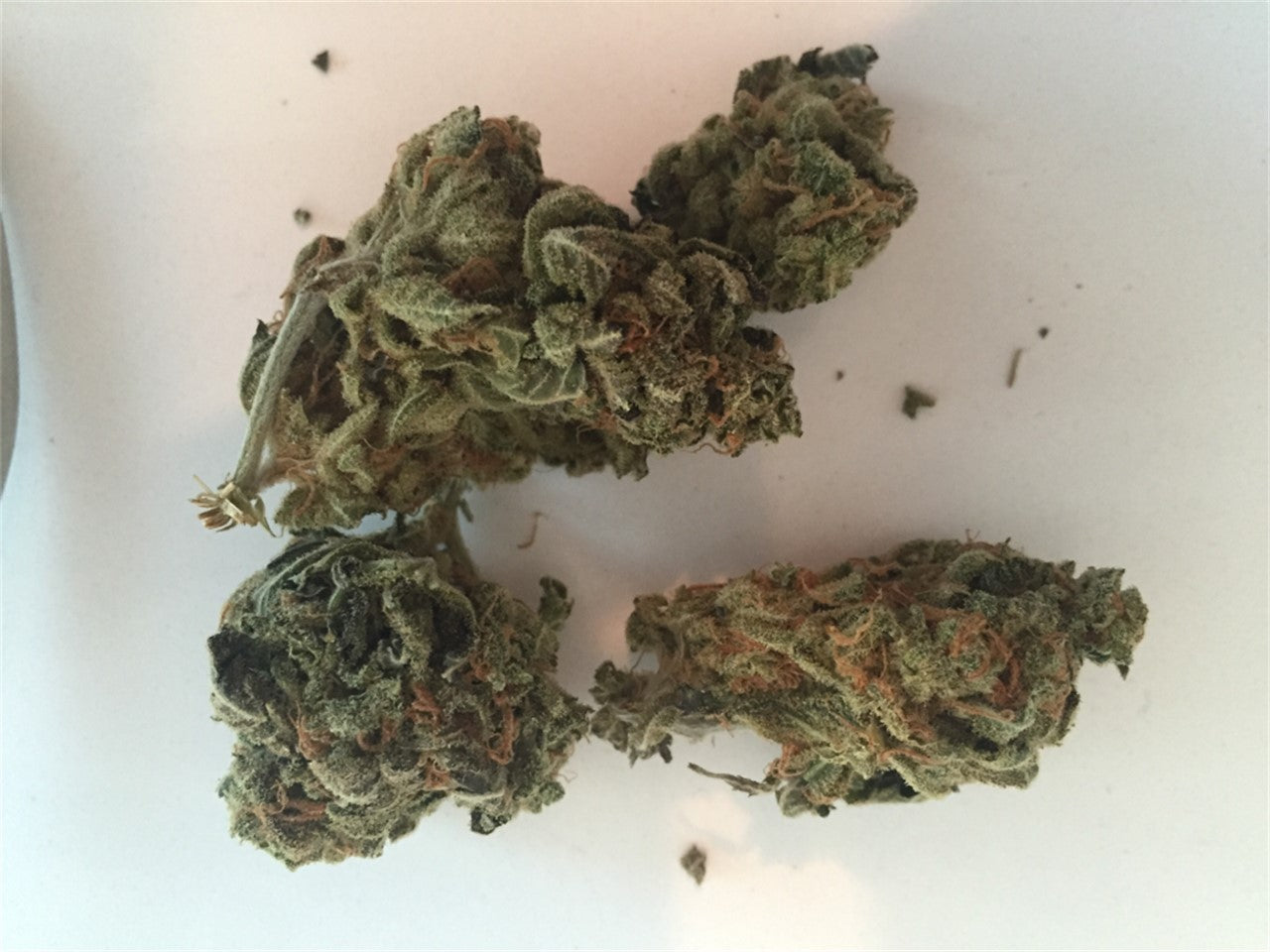 Purple Pantera marijuana strain flower with grape and tropical flavor and creative / talkative effects - Rare Harvest hybrid