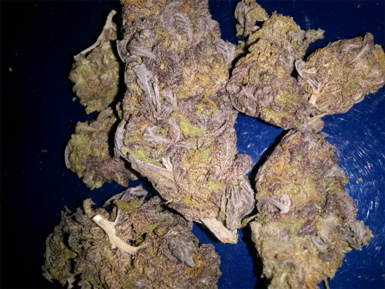 Purple People Eater marijuana strain flower with grape and berry flavor and sleepy / euphoric effects - Rare Harvest indica