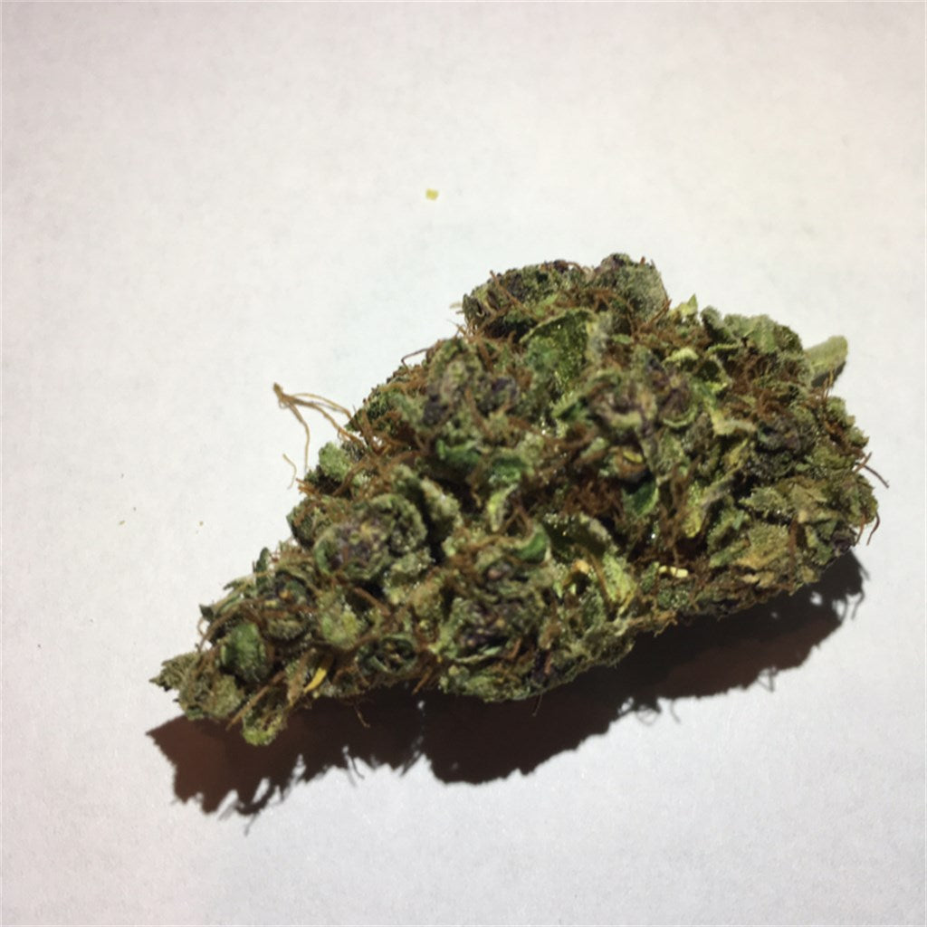 Purple Power marijuana strain flower with skunk and flowery flavor and energetic / talkative effects - Rare Harvest sativa