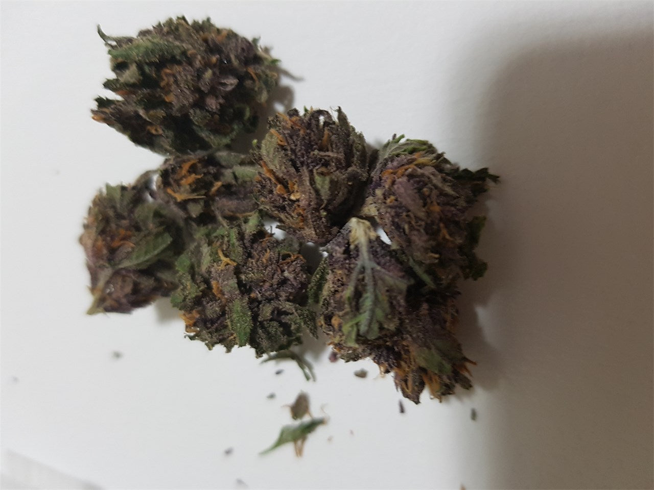 Purple Raine marijuana strain flower with grape and woody flavor and focused / happy effects - Rare Harvest hybrid