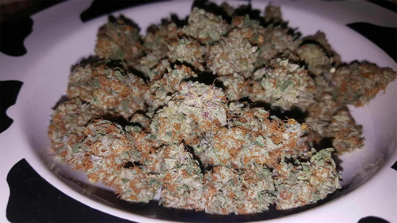 Purple Skunk marijuana strain flower with skunk and lavender flavor and aroused / tingly effects - Rare Harvest hybrid