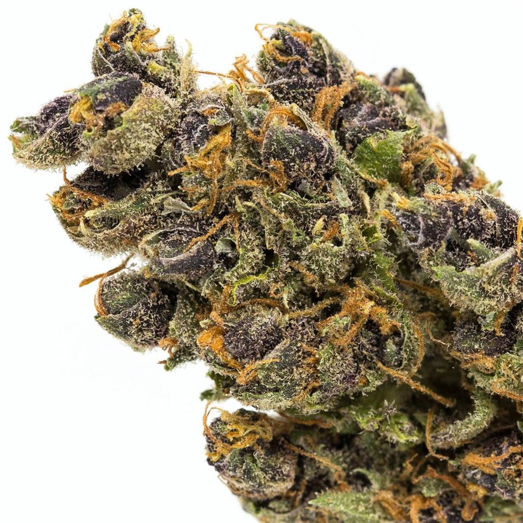 Purple Tangie marijuana strain flower with citrus and orange flavor and energetic / uplifted effects - Rare Harvest sativa