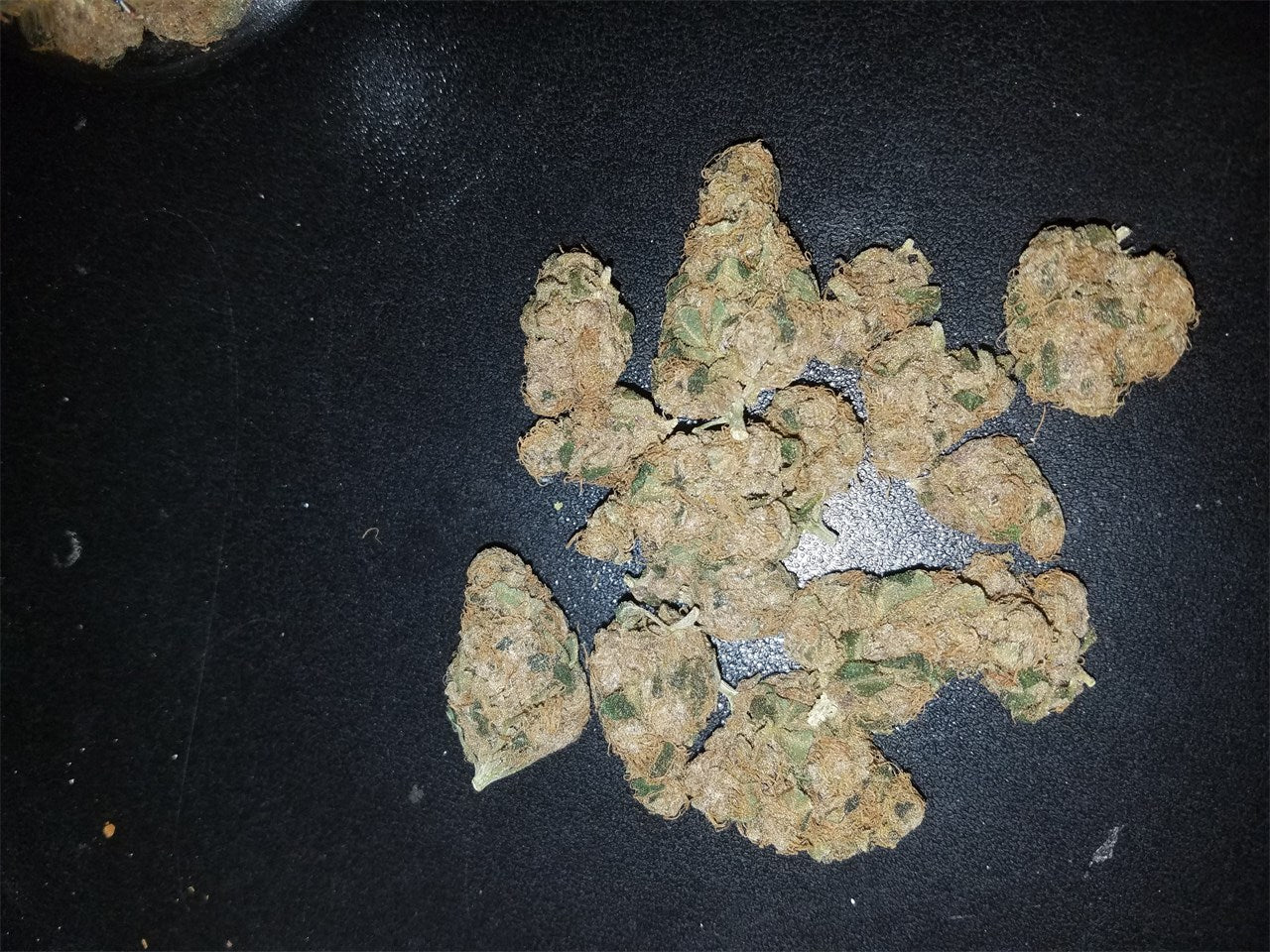 Purple Tears marijuana strain flower with diesel and pungent flavor and uplifted / happy effects - Rare Harvest hybrid