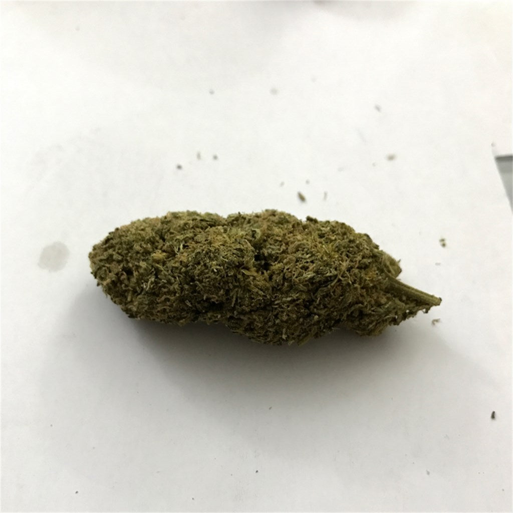 Purple Thai marijuana strain flower with earthy and flowery flavor and uplifted / focused effects - Rare Harvest sativa