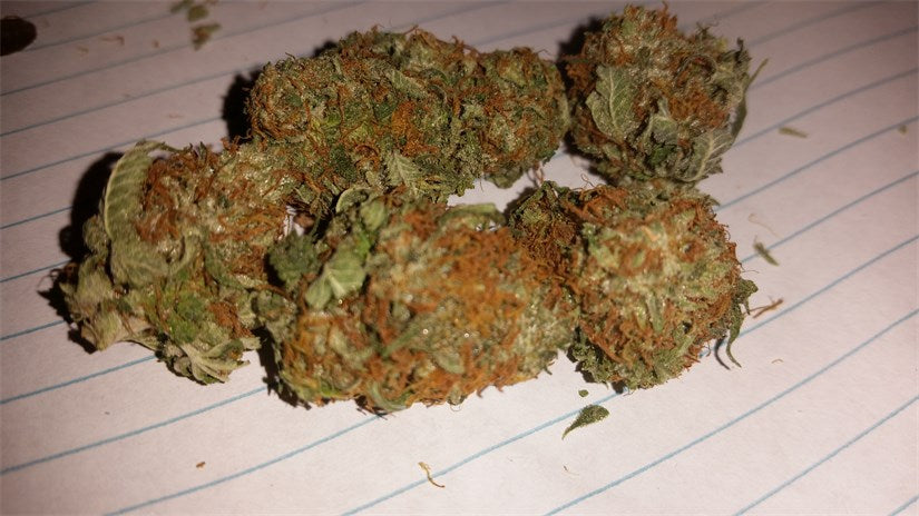 Purple Tonic marijuana strain flower with blueberry and tree fruit flavor and happy / uplifted effects - Rare Harvest indica