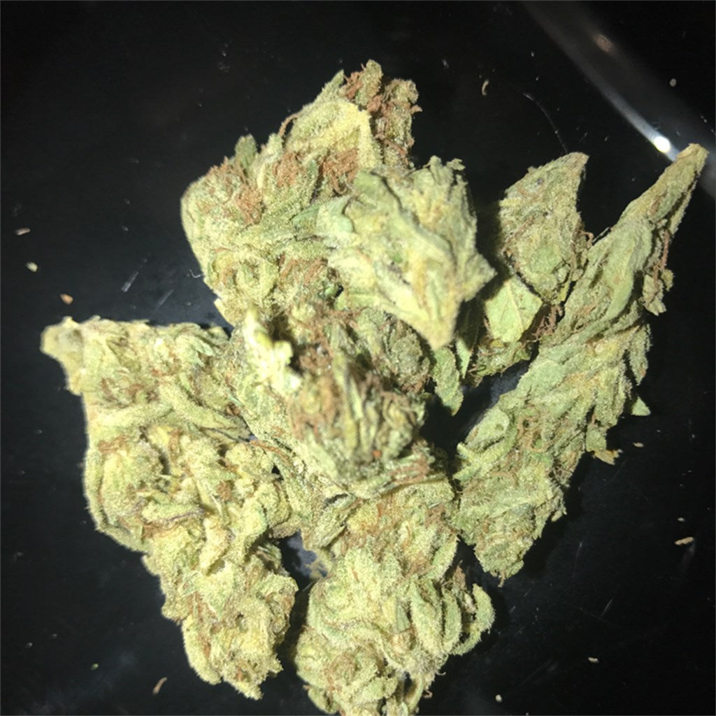 Purple Trainwreck marijuana strain flower with grape and lavender flavor and euphoric / relaxed effects - Rare Harvest hybrid