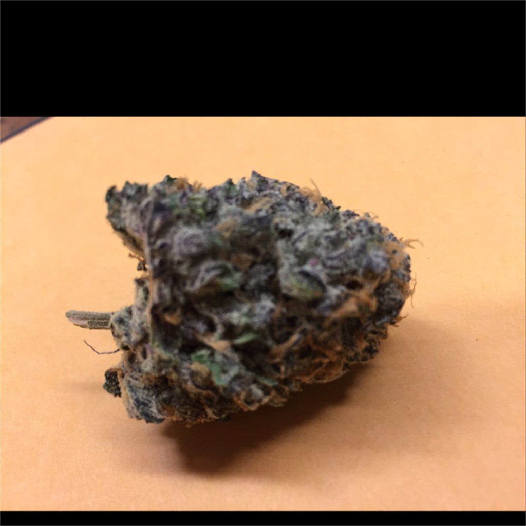 Purple Widow marijuana strain flower with flowery and woody flavor and relaxed / giggly effects - Rare Harvest hybrid