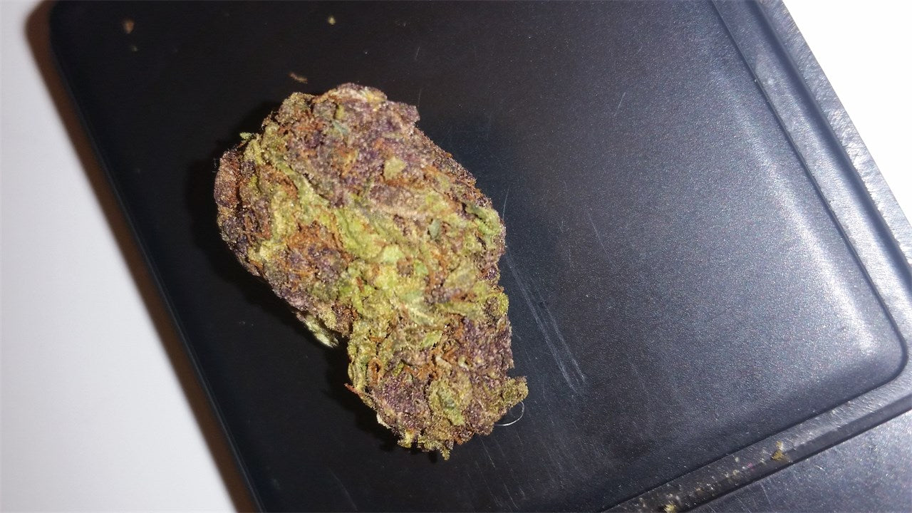 PVC OG marijuana strain flower with diesel and citrus flavor and talkative / euphoric effects - Rare Harvest indica