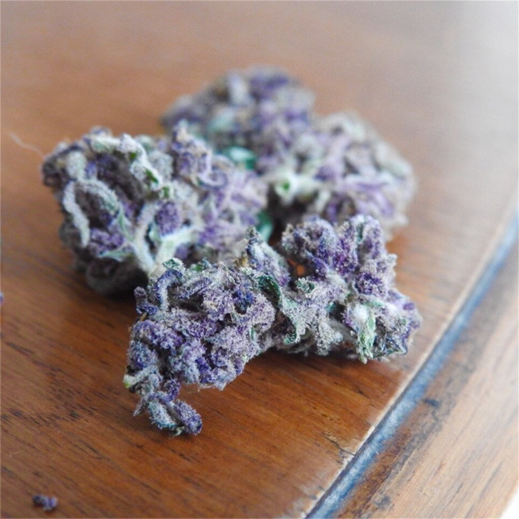 Qleaner marijuana strain flower with tree fruit and cheese flavor and energetic / uplifted effects - Rare Harvest hybrid