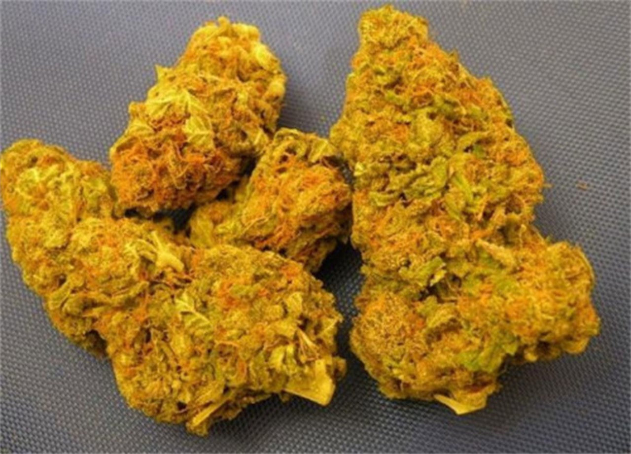 Quebec Gold marijuana strain flower with lemon and citrus flavor and happy / energetic effects - Rare Harvest hybrid