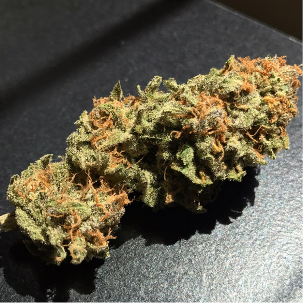 Qush marijuana strain flower with flowery and diesel flavor and energetic / uplifted effects - Rare Harvest indica