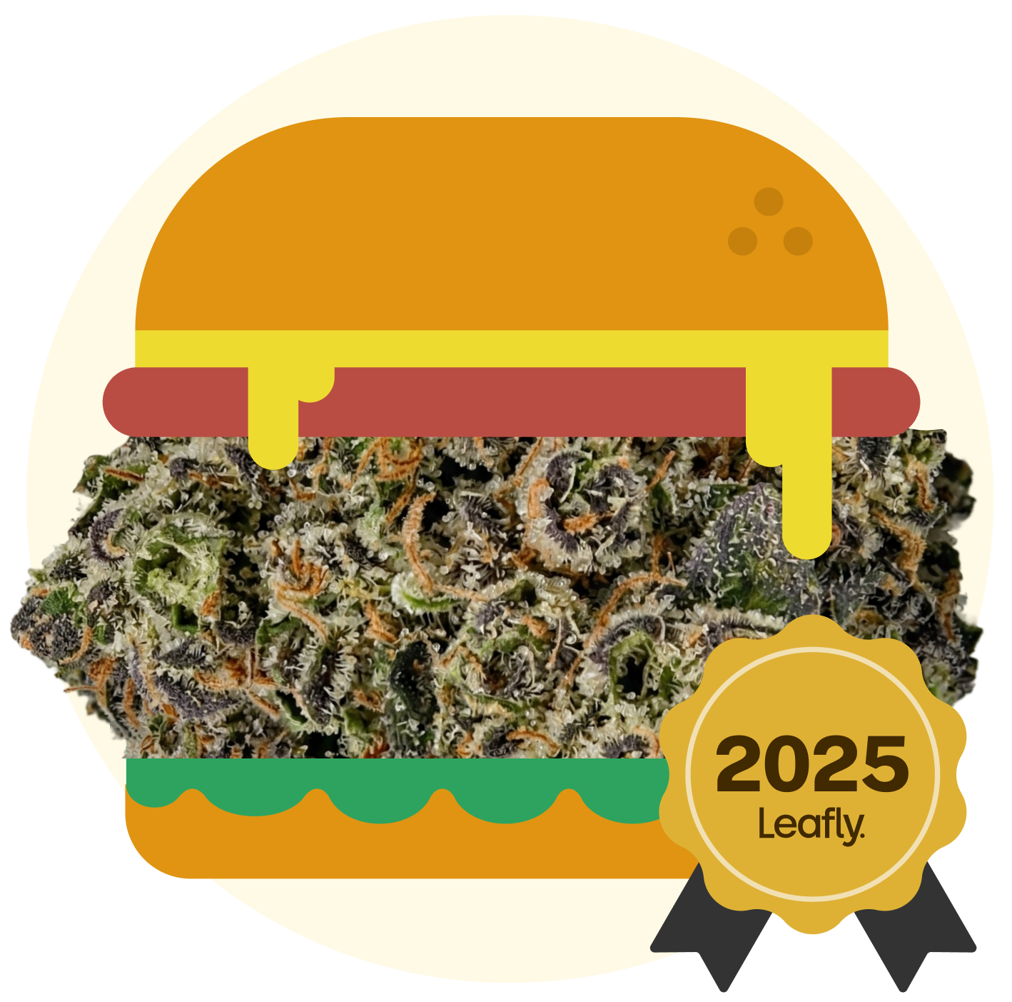 Hash Burger marijuana strain flower with ammonia and pepper flavor and sleepy / relaxed effects - Rare Harvest hybrid