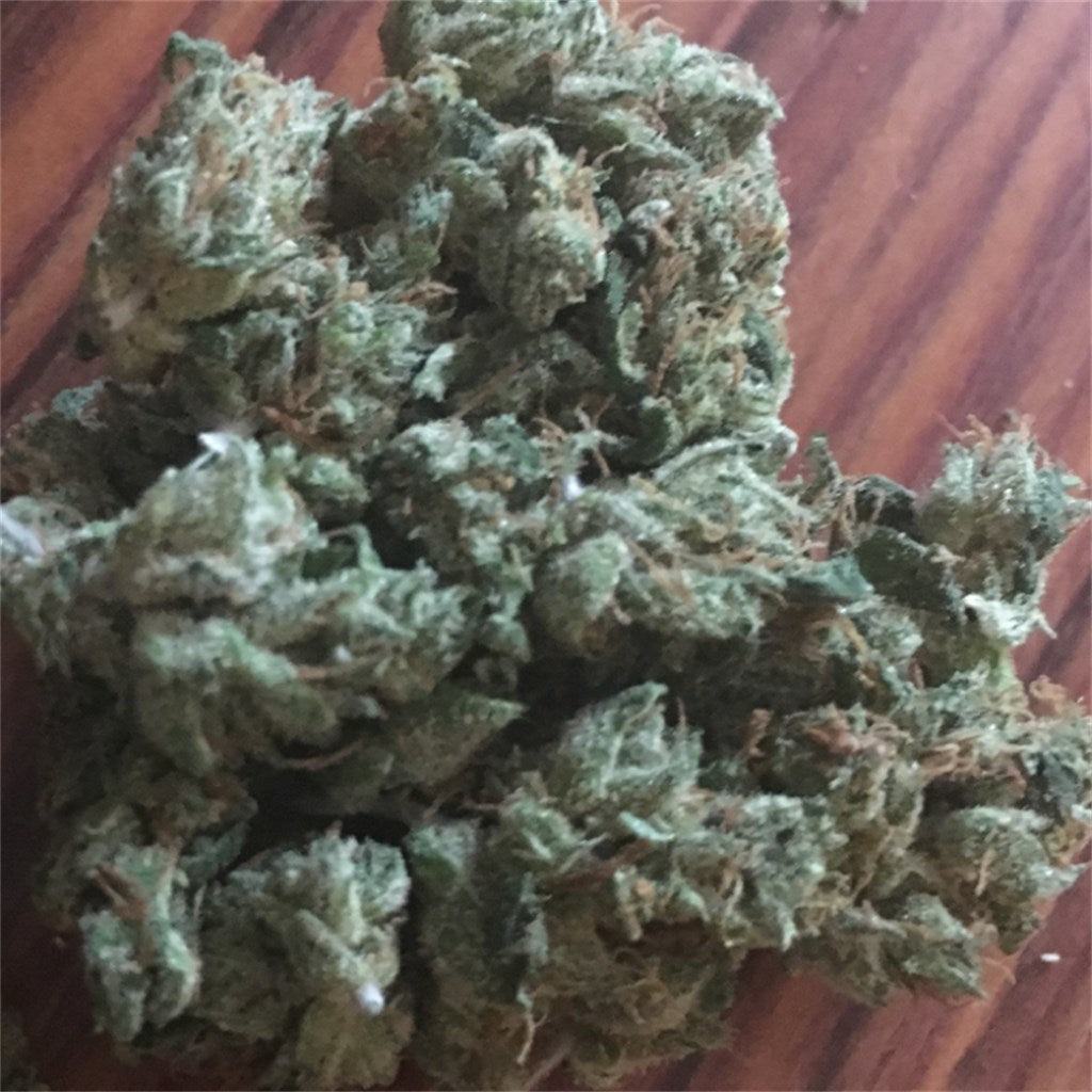 Rafael marijuana strain flower with peach flavor - Rare Harvest sativa
