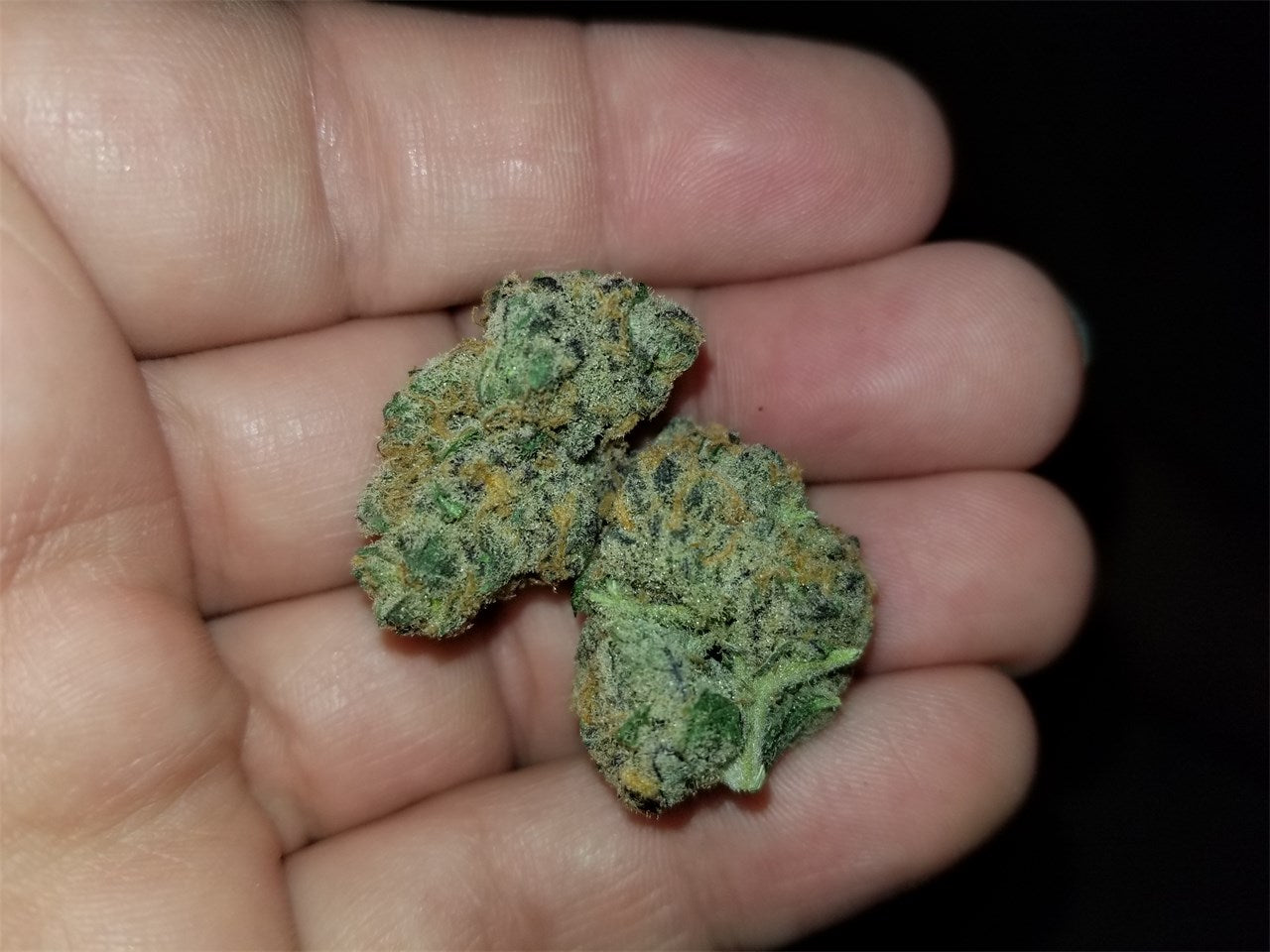 Rare Darkness marijuana strain flower with grape and berry flavor and sleepy / relaxed effects - Rare Harvest indica