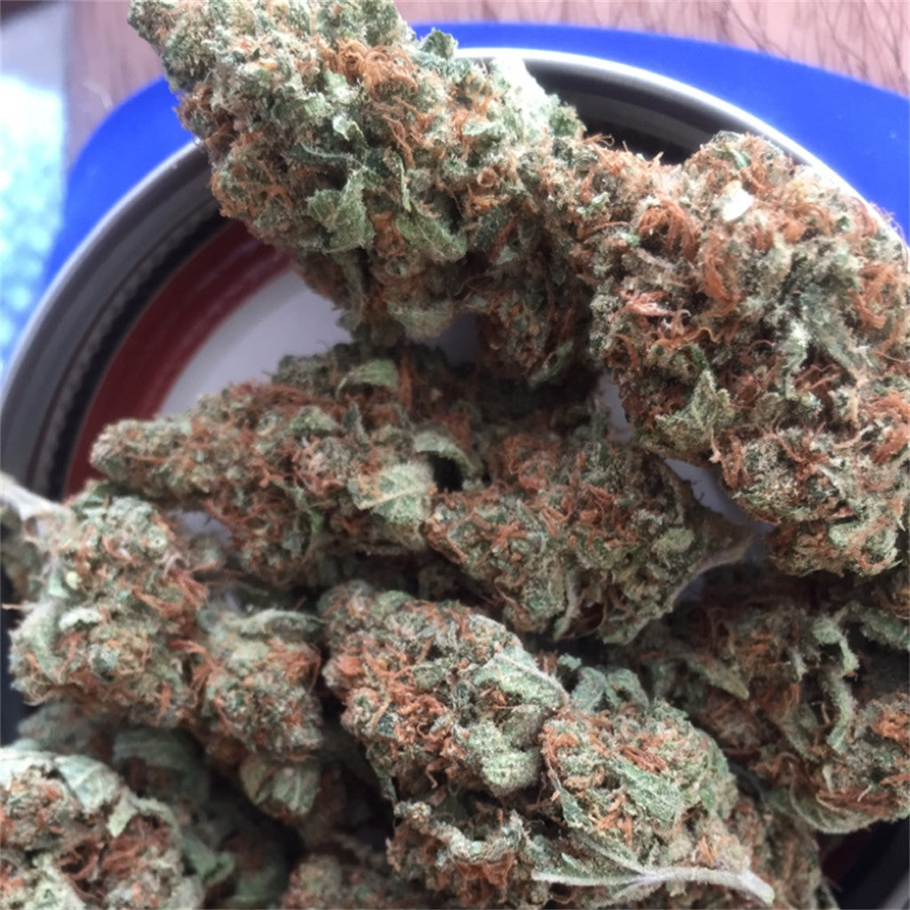 Raw Diesel marijuana strain flower with diesel and earthy flavor and talkative / energetic effects - Rare Harvest hybrid