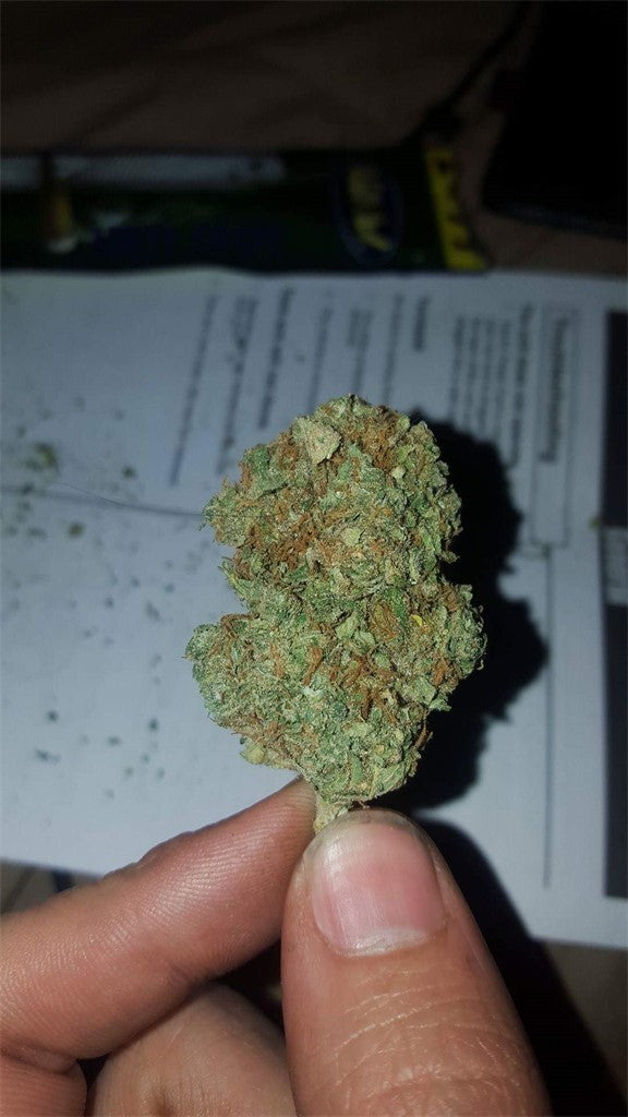 Ray Charles marijuana strain flower with earthy and grape flavor and sleepy / relaxed effects - Rare Harvest indica