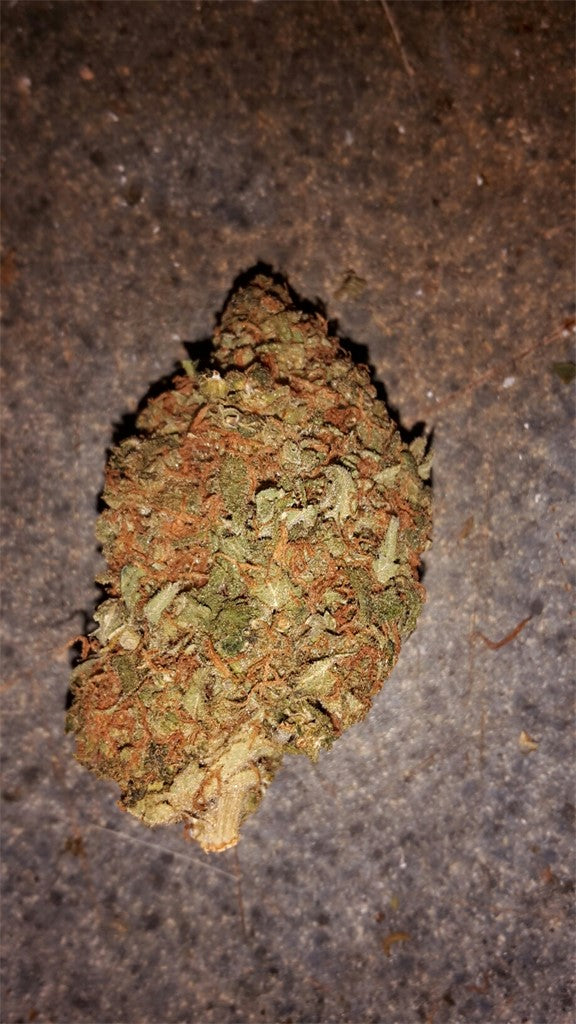 Rebel God Smoke marijuana strain flower with pungent and earthy flavor and energetic / uplifted effects - Rare Harvest sativa