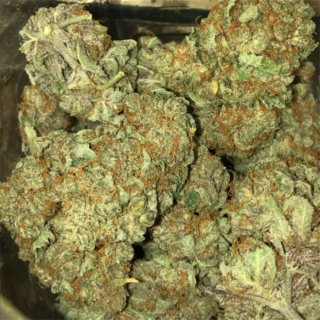 Recon marijuana strain flower with spicy/herbal and nutty flavor and sleepy / relaxed effects - Rare Harvest indica