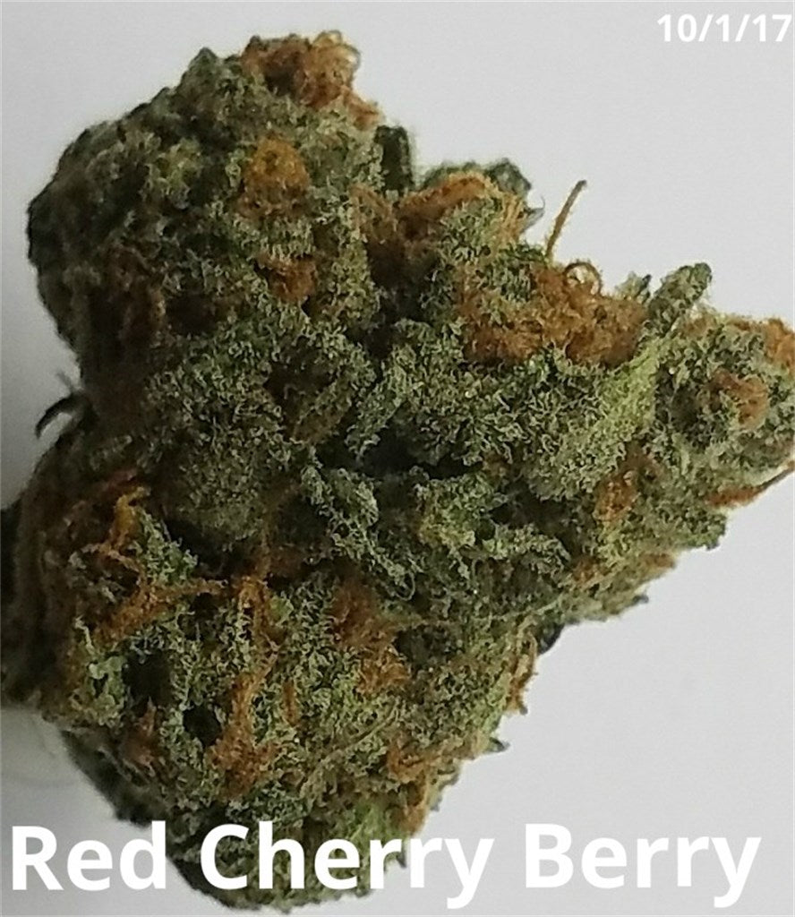 Red Cherry Berry marijuana strain flower with berry and blueberry flavor and relaxed / happy effects - Rare Harvest hybrid