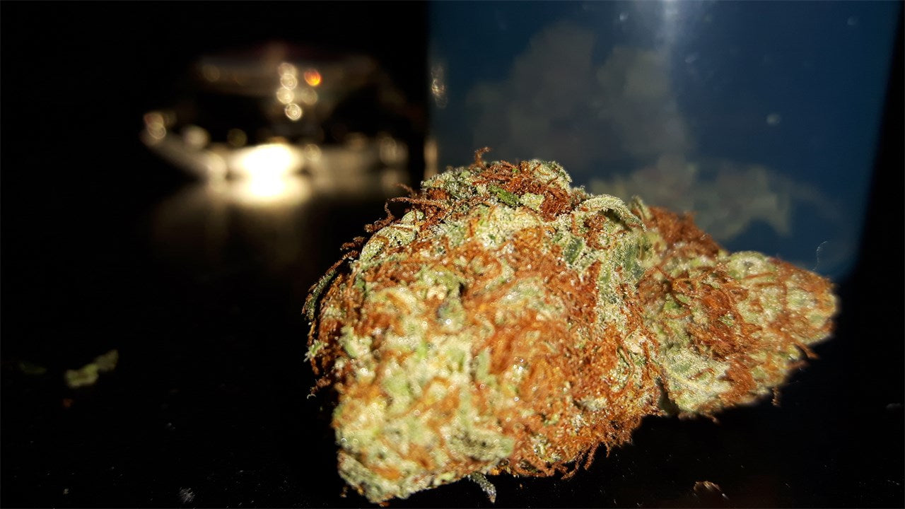 Red Congolese marijuana strain flower with spicy/herbal and sage flavor and focused / energetic effects - Rare Harvest sativa