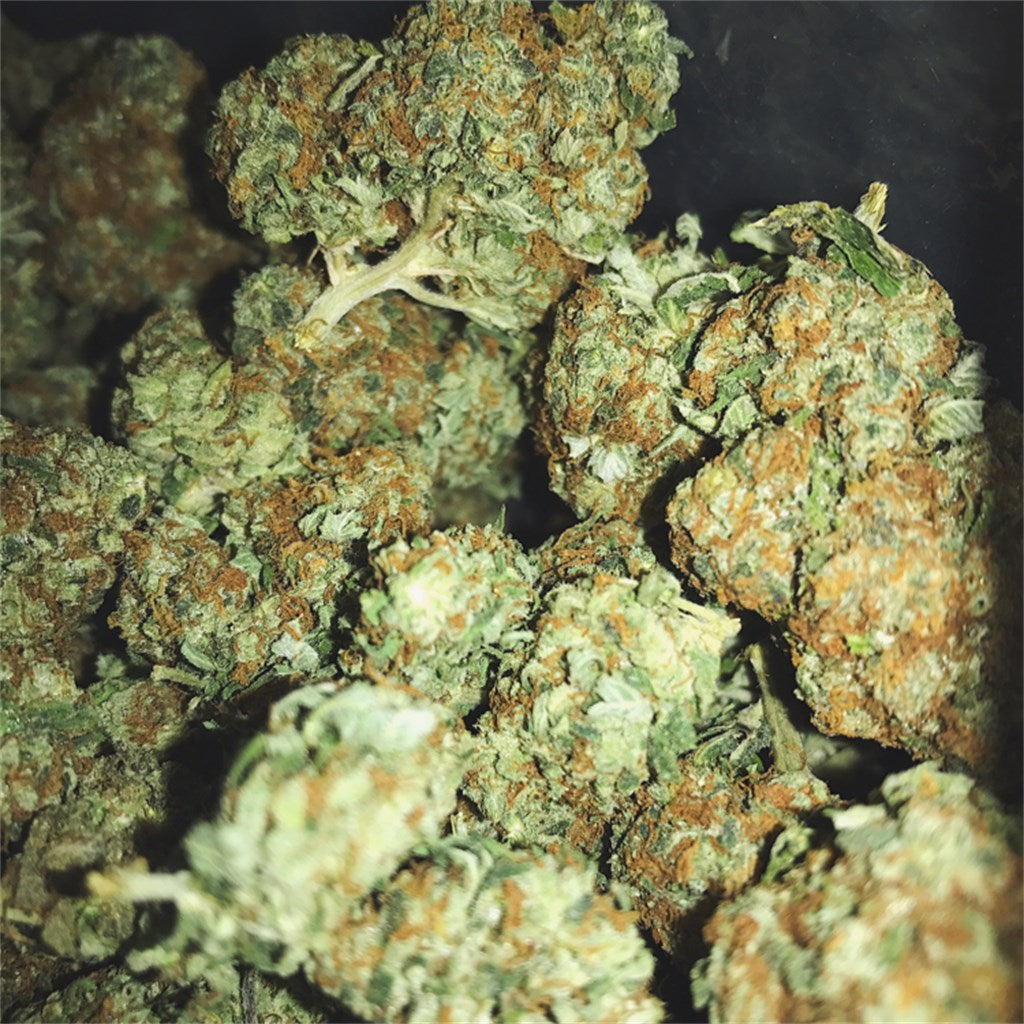 Red Diesel marijuana strain flower with apple and diesel flavor and hungry / euphoric effects - Rare Harvest hybrid