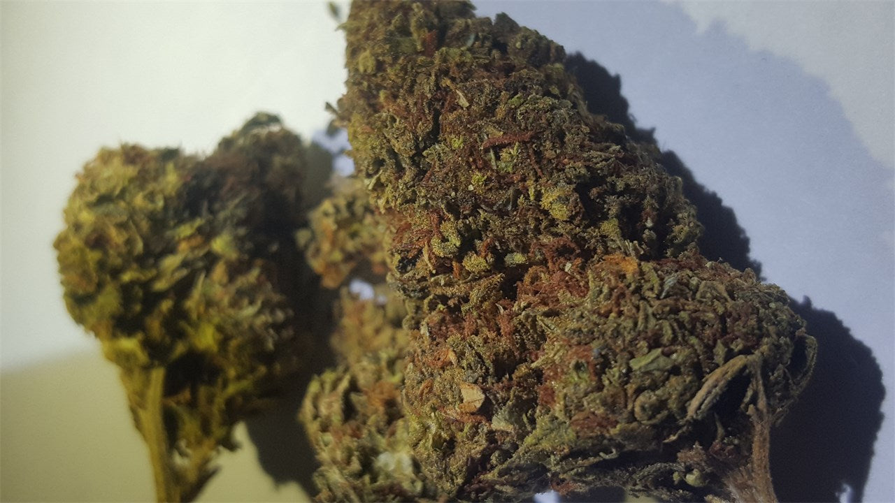 Red Dragon marijuana strain flower with tree fruit and spicy/herbal flavor and giggly / tingly effects - Rare Harvest hybrid