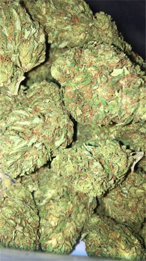 Red Haze marijuana strain flower with tobacco and woody flavor and energetic / creative effects - Rare Harvest sativa