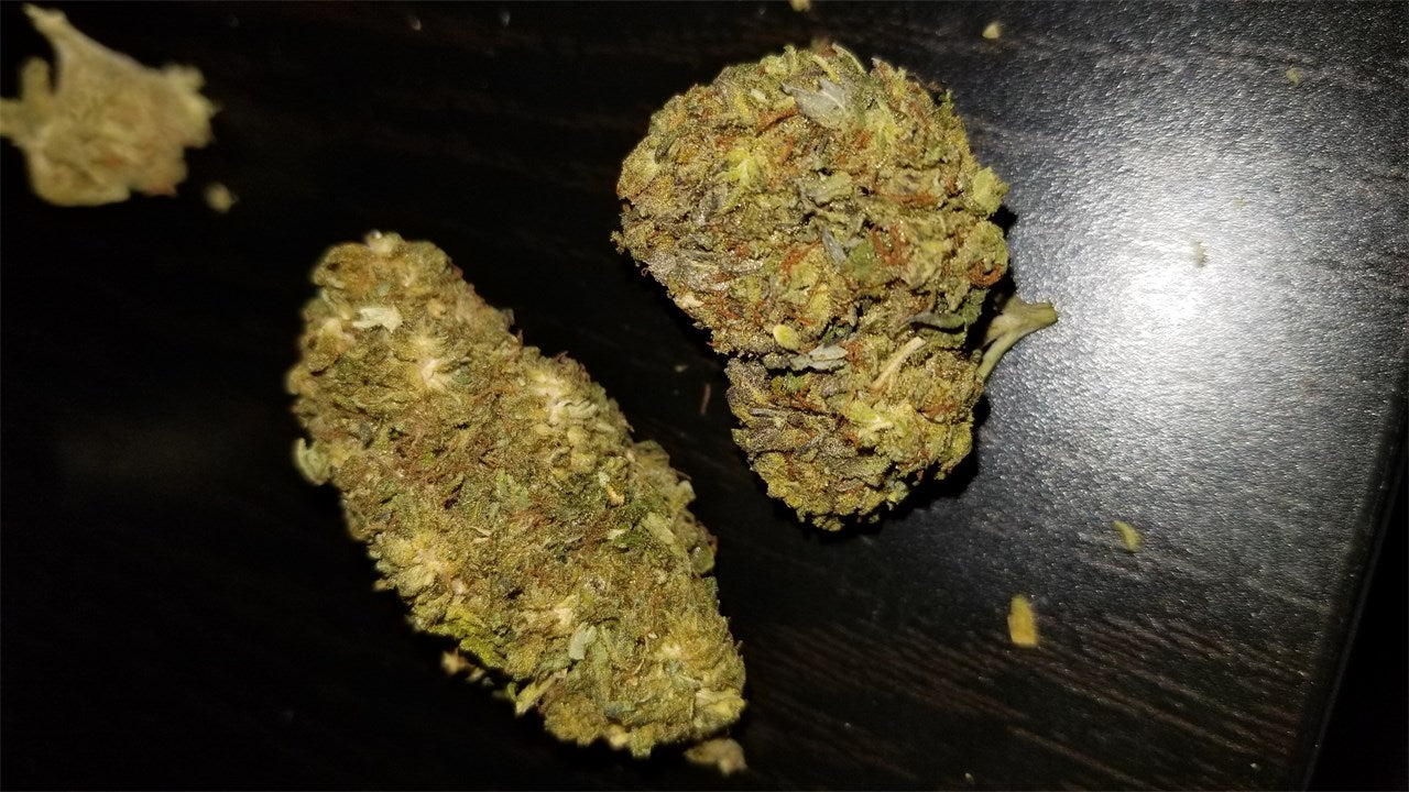 Riddler OG marijuana strain flower with diesel and earthy flavor and talkative / focused effects - Rare Harvest hybrid