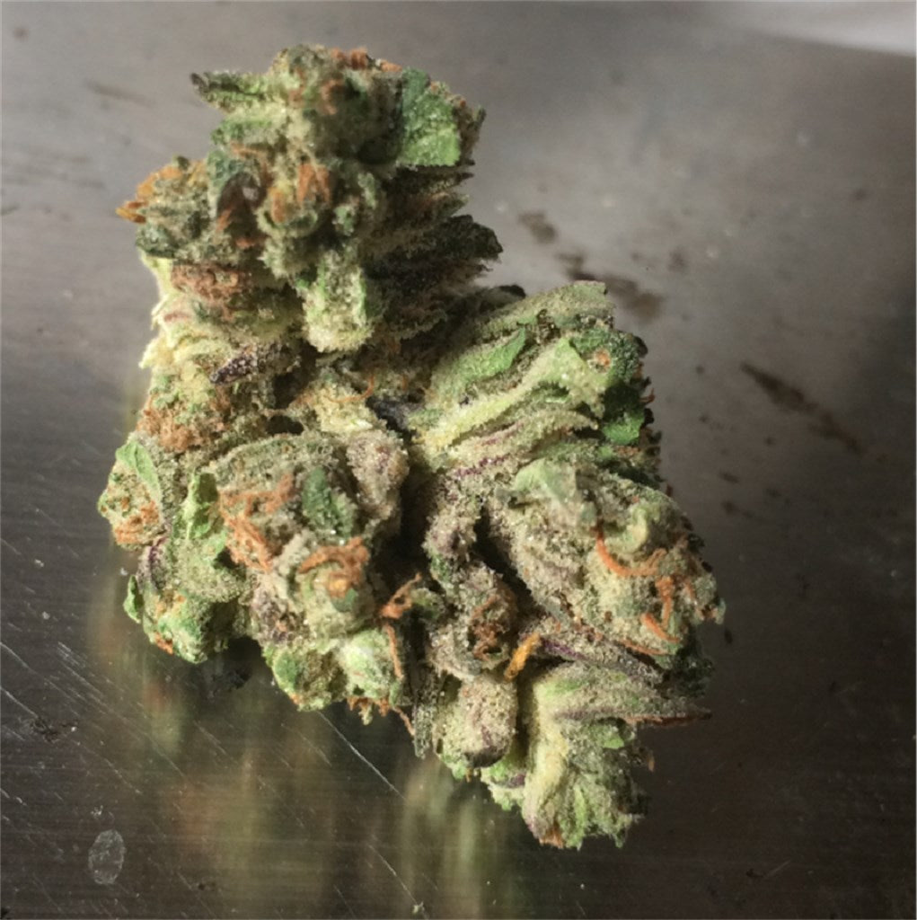 Rip City Purps marijuana strain flower with grape and earthy flavor and euphoric / uplifted effects - Rare Harvest indica