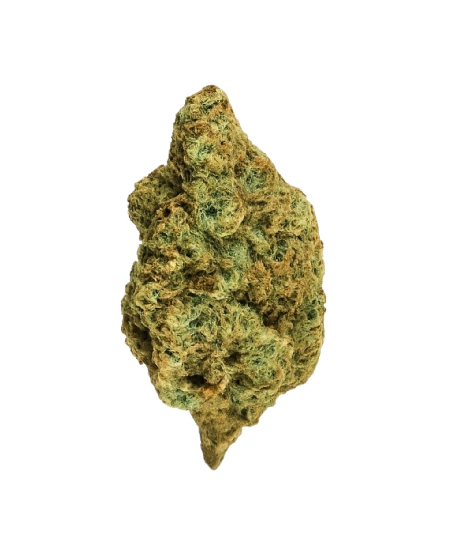 Jack Boro #5 marijuana strain flower with pine and pungent flavor and energetic / creative effects - Rare Harvest sativa