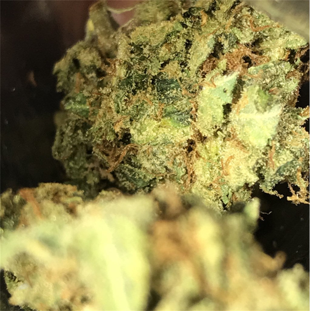 Rockbud marijuana strain flower with blue cheese and cheese flavor and sleepy / euphoric effects - Rare Harvest indica